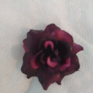 Meet your Posher, Jackline